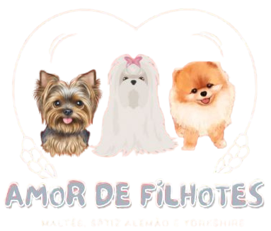 Canil Coração de Quatro Patas - Ambiente familiar